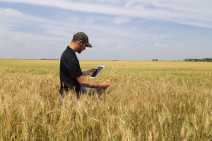 Tesla ще започне работа в новата фабрика на Megapack в Шанхай · TechNode