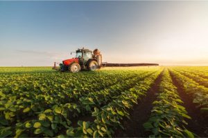 Vital role of food, agriculture explored in ABA study
