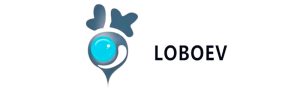 LOBO Announces Receipt of Nasdaq Minimum Bid Price Notification