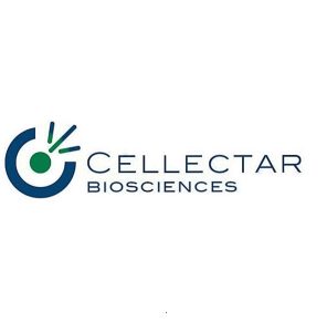 Cellectar Biosciences Announces One-for-Thirty Reverse Stock Split