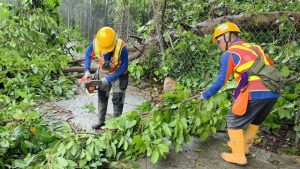 Китайската Li Auto вижда спад на акциите след намаление на цените · TechNode