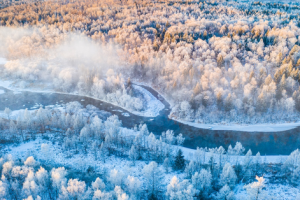 Доставките на смартфони на Apple в Китай спадат с 9% на годишна база през първото тримесечие · TechNode