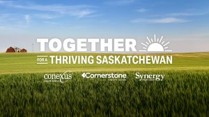 Conexus, Cornerstone, Synergy Merger: Name and CEO Announced