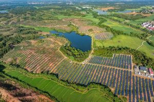 Agri Tech Park привлича повече посетители
