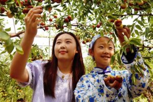 Зимен хинап Zhanhua на Shandong: История на успеха