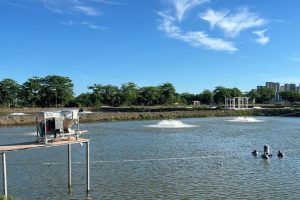 Университет лицензира интелигентна система за хранене на риба