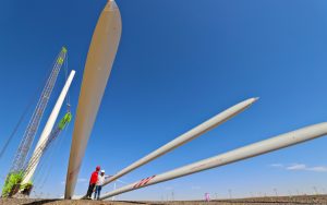 Доклад: Фирми, наемащи таланти със зелени умения