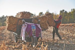 Предоставянето на земя е ключът към насърчаване на търговията с рециклиране