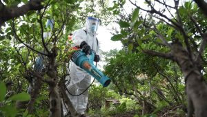 Хонконг потвърждава 10-и локален случай на треска чикунгуня