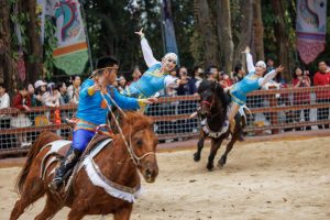 Редки породи коне показват своята жизненост и дух в сафари парка в Гуанджоу