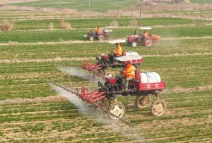 Shandong удвоява развитието на модерна база за производство на зърно