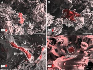 Лунната почва носи доказателство за органична материя